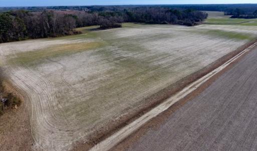 Photo of SOLD!  312 Acres of Farm and Hunting Land For Sale in Edgecombe County NC!