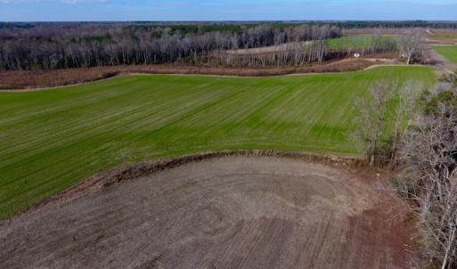 Photo of SOLD!  312 Acres of Farm and Hunting Land For Sale in Edgecombe County NC!