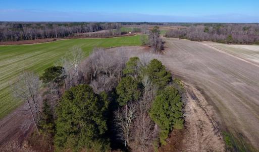 Photo of SOLD!  312 Acres of Farm and Hunting Land For Sale in Edgecombe County NC!