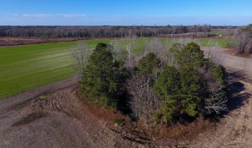 Photo of SOLD!  312 Acres of Farm and Hunting Land For Sale in Edgecombe County NC!