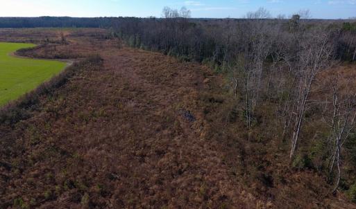 Photo of SOLD!  312 Acres of Farm and Hunting Land For Sale in Edgecombe County NC!