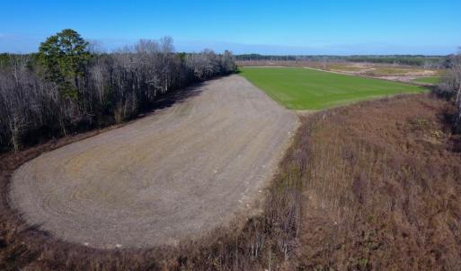 Photo of SOLD!  312 Acres of Farm and Hunting Land For Sale in Edgecombe County NC!