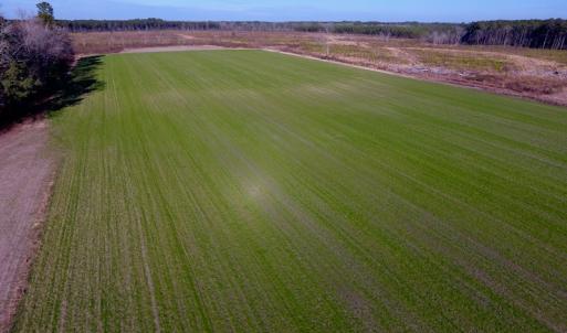 Photo of SOLD!  312 Acres of Farm and Hunting Land For Sale in Edgecombe County NC!
