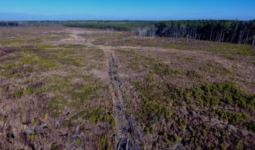 Photo of SOLD!  312 Acres of Farm and Hunting Land For Sale in Edgecombe County NC!