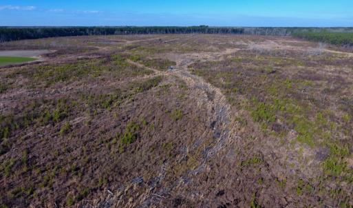 Photo of SOLD!  312 Acres of Farm and Hunting Land For Sale in Edgecombe County NC!