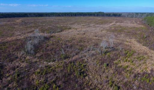 Photo of SOLD!  312 Acres of Farm and Hunting Land For Sale in Edgecombe County NC!