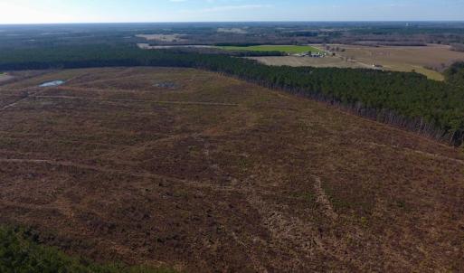 Photo of SOLD!  312 Acres of Farm and Hunting Land For Sale in Edgecombe County NC!