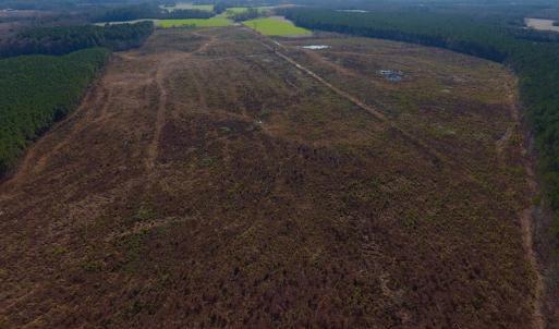 Photo of SOLD!  312 Acres of Farm and Hunting Land For Sale in Edgecombe County NC!