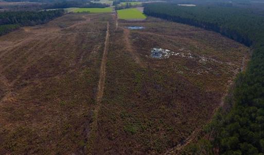 Photo of SOLD!  312 Acres of Farm and Hunting Land For Sale in Edgecombe County NC!