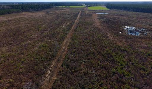 Photo of SOLD!  312 Acres of Farm and Hunting Land For Sale in Edgecombe County NC!
