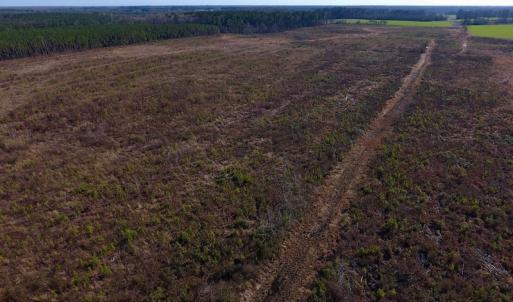 Photo of SOLD!  312 Acres of Farm and Hunting Land For Sale in Edgecombe County NC!
