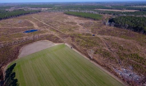 Photo of SOLD!  312 Acres of Farm and Hunting Land For Sale in Edgecombe County NC!
