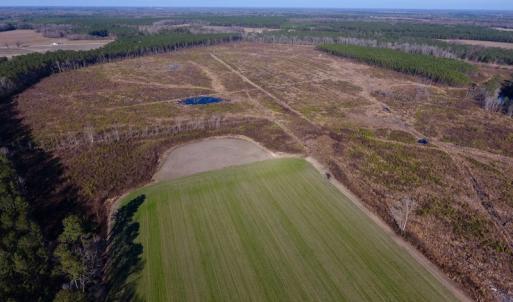 Photo of SOLD!  312 Acres of Farm and Hunting Land For Sale in Edgecombe County NC!