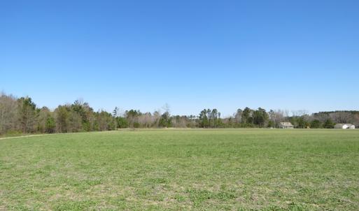 Photo of SOLD!  58 Acres of Farm and Timber Land For Sale in Robeson County NC!