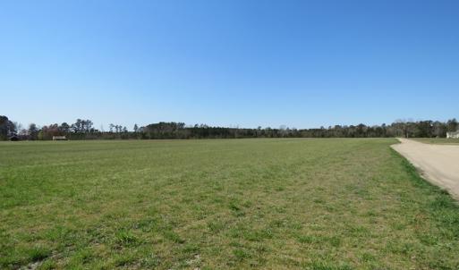 Photo of SOLD!  58 Acres of Farm and Timber Land For Sale in Robeson County NC!