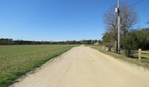 Photo of SOLD!  58 Acres of Farm and Timber Land For Sale in Robeson County NC!