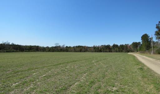Photo of SOLD!  58 Acres of Farm and Timber Land For Sale in Robeson County NC!