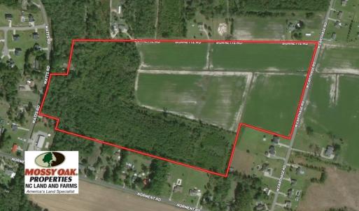 Photo of SOLD!  58 Acres of Farm and Timber Land For Sale in Robeson County NC!