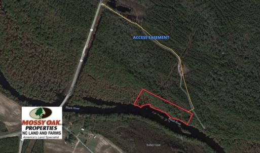 Photo of UNDER CONTRACT!  7 Acres of Riverfront Timber and Hunting Land For Sale in Pender County NC!