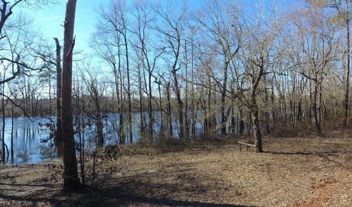 Photo of UNDER CONTRACT!  7 Acres of Riverfront Timber and Hunting Land For Sale in Pender County NC!