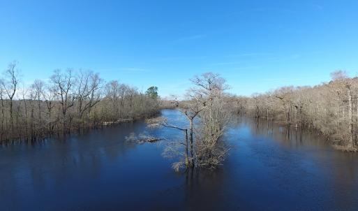 Photo of UNDER CONTRACT!  7 Acres of Riverfront Timber and Hunting Land For Sale in Pender County NC!