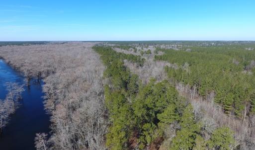 Photo of UNDER CONTRACT!  7 Acres of Riverfront Timber and Hunting Land For Sale in Pender County NC!