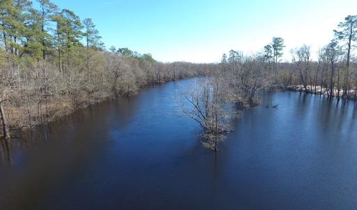 Photo of UNDER CONTRACT!  7 Acres of Riverfront Timber and Hunting Land For Sale in Pender County NC!