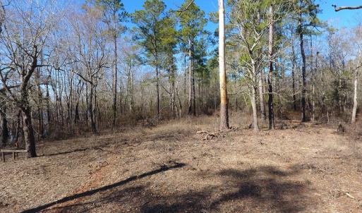 Photo of UNDER CONTRACT!  7 Acres of Riverfront Timber and Hunting Land For Sale in Pender County NC!