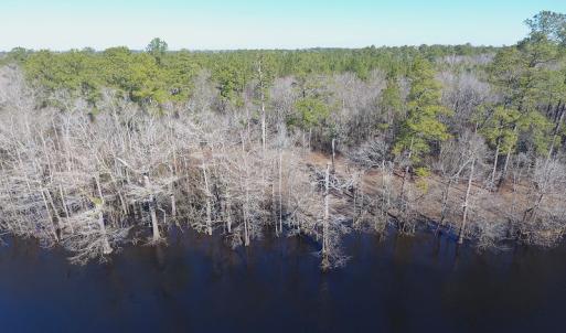 Photo of UNDER CONTRACT!  7 Acres of Riverfront Timber and Hunting Land For Sale in Pender County NC!