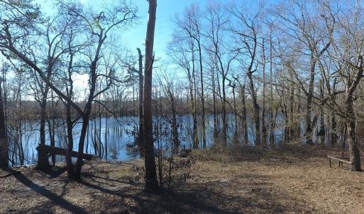 Photo of UNDER CONTRACT!  7 Acres of Riverfront Timber and Hunting Land For Sale in Pender County NC!
