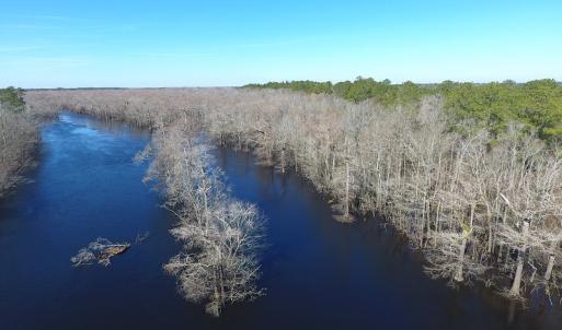 Photo of UNDER CONTRACT!  7 Acres of Riverfront Timber and Hunting Land For Sale in Pender County NC!