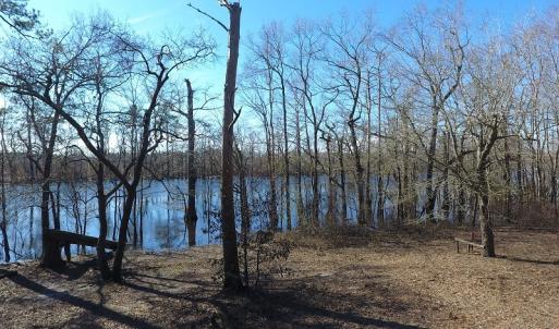 Photo of UNDER CONTRACT!  7 Acres of Riverfront Timber and Hunting Land For Sale in Pender County NC!