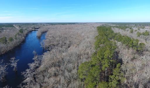 Photo of UNDER CONTRACT!  7 Acres of Riverfront Timber and Hunting Land For Sale in Pender County NC!