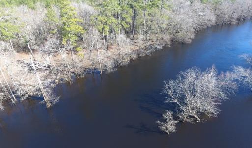 Photo of UNDER CONTRACT!  7 Acres of Riverfront Timber and Hunting Land For Sale in Pender County NC!