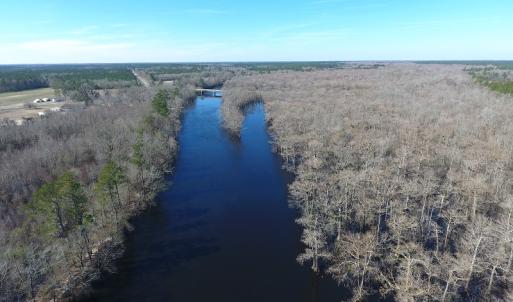 Photo of UNDER CONTRACT!  7 Acres of Riverfront Timber and Hunting Land For Sale in Pender County NC!
