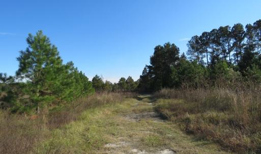 Photo of UNDER CONTRACT!  46 Acres of Recreational Land For Sale in Robeson County NC!