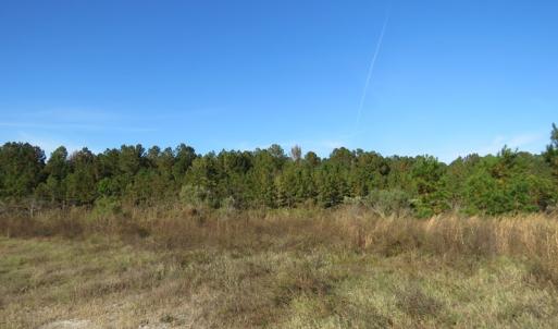 Photo of UNDER CONTRACT!  46 Acres of Recreational Land For Sale in Robeson County NC!