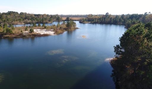 Photo of UNDER CONTRACT!  46 Acres of Recreational Land For Sale in Robeson County NC!