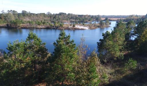 Photo of UNDER CONTRACT!  46 Acres of Recreational Land For Sale in Robeson County NC!