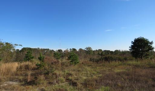 Photo of UNDER CONTRACT!  46 Acres of Recreational Land For Sale in Robeson County NC!