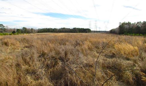 Photo of SOLD!  4.2 Acres of Residential Land For Sale in Surry County VA!
