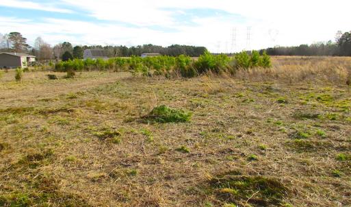 Photo of SOLD!  4.2 Acres of Residential Land For Sale in Surry County VA!
