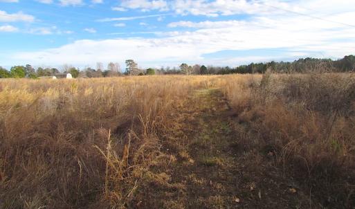 Photo of SOLD!  4.2 Acres of Residential Land For Sale in Surry County VA!