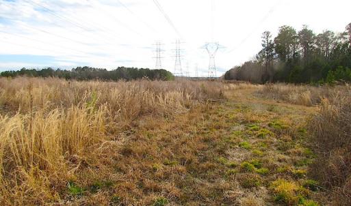 Photo of SOLD!  4.2 Acres of Residential Land For Sale in Surry County VA!