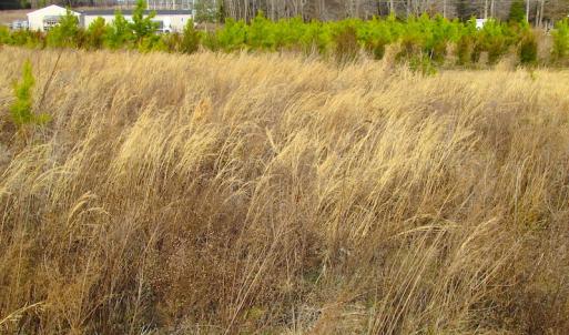 Photo of SOLD!  4.2 Acres of Residential Land For Sale in Surry County VA!
