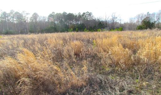Photo of SOLD!  4.2 Acres of Residential Land For Sale in Surry County VA!