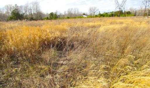 Photo of SOLD!  4.2 Acres of Residential Land For Sale in Surry County VA!