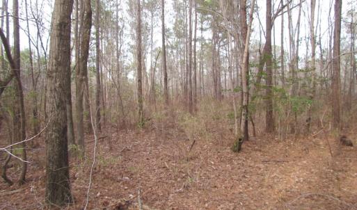 Photo of UNDER CONTRACT!  10 Acres of Recreational and Investment Land For Sale in Suffolk County VA!