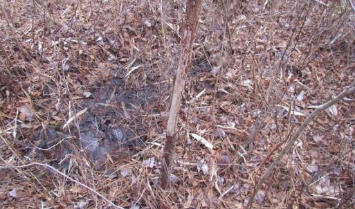 Photo of UNDER CONTRACT!  10 Acres of Recreational and Investment Land For Sale in Suffolk County VA!