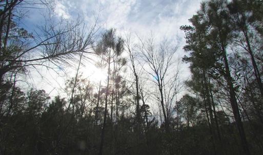 Photo of UNDER CONTRACT!  10 Acres of Recreational and Investment Land For Sale in Suffolk County VA!